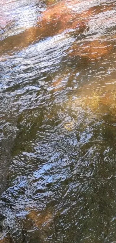 Serene river with gentle flowing water and natural reflections.