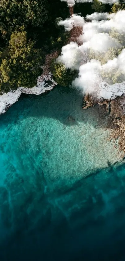 Aerial view of a forest meeting a turquoise sea.