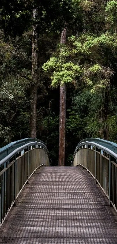 A serene bridge view in a lush forest setting with green trees.