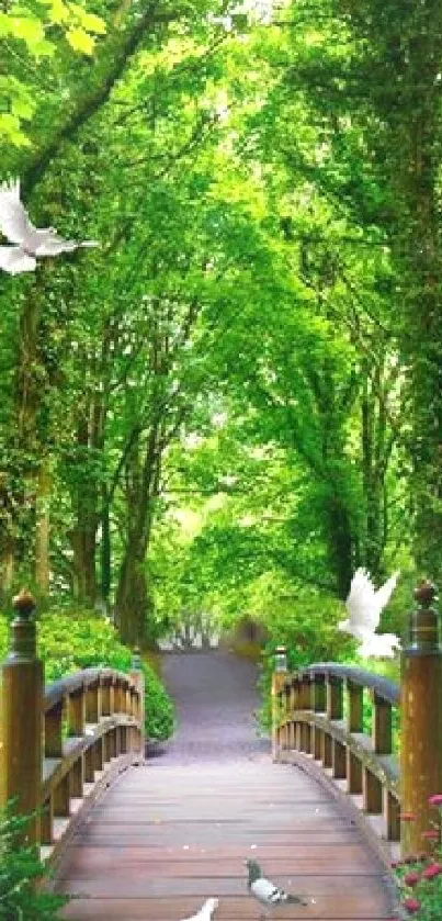 Serene forest bridge with green trees and flying doves.