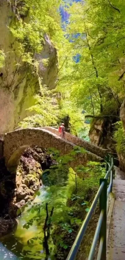 Peaceful stone bridge amidst lush green forest, perfect for nature wallpaper.