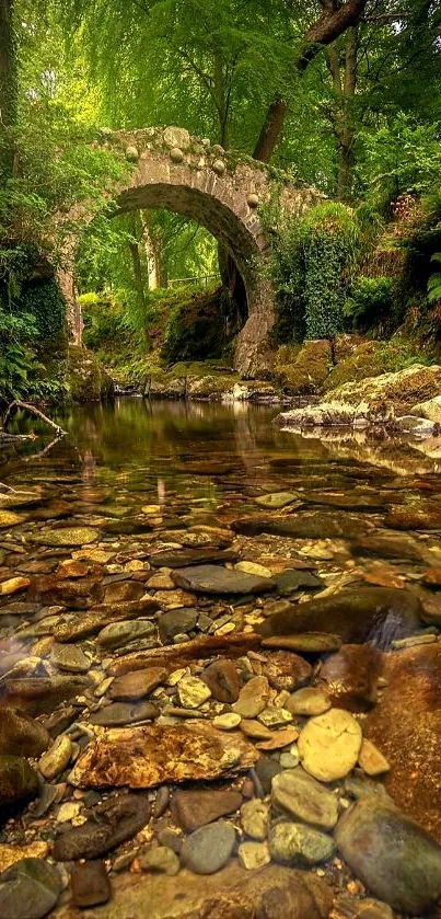 Stone bridge over a tranquil stream in a lush green forest.