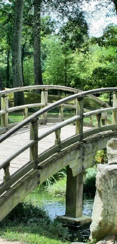 A serene wooden bridge in a lush, green forest setting.