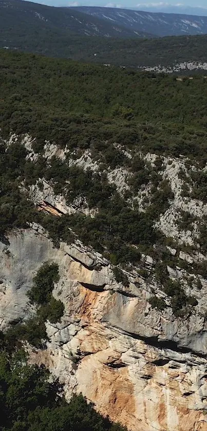 Aerial view of a lush green forest and rocky cliff.