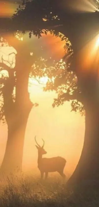 Deer under golden sunlight in a misty forest at sunrise.