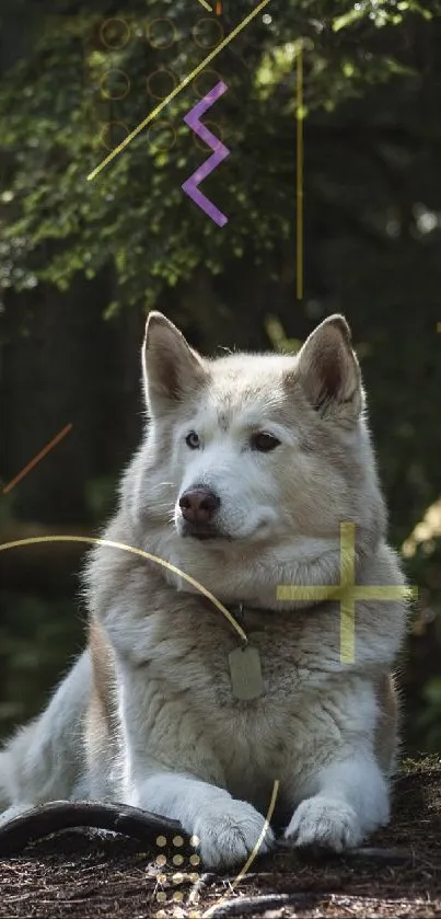 Serene dog in lush forest setting, relaxing.