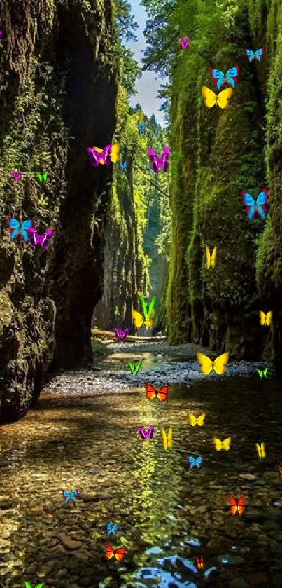 Serene forest gorge with reflective water and lush greenery.