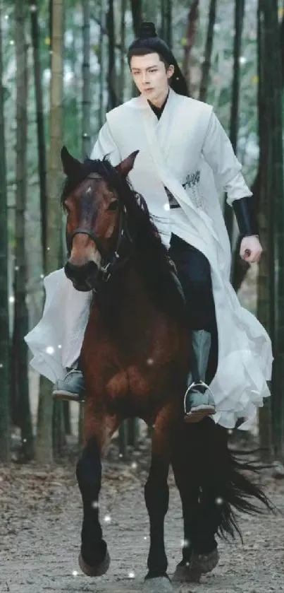 Man on horseback in a peaceful bamboo forest.