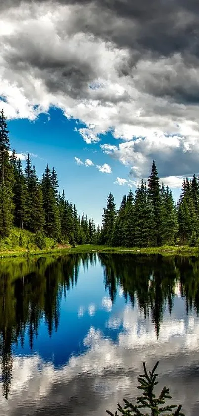 Scenic view of a forest lake with reflections and a cloudy sky.