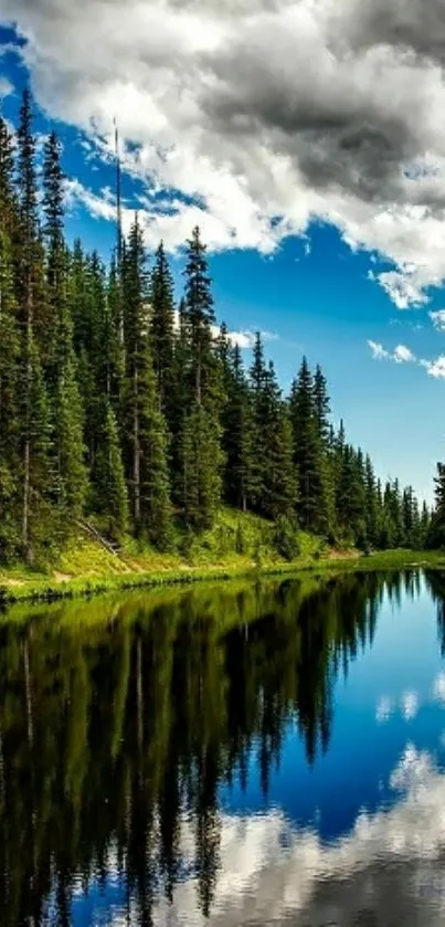 Tranquil forest lake with blue sky reflection.