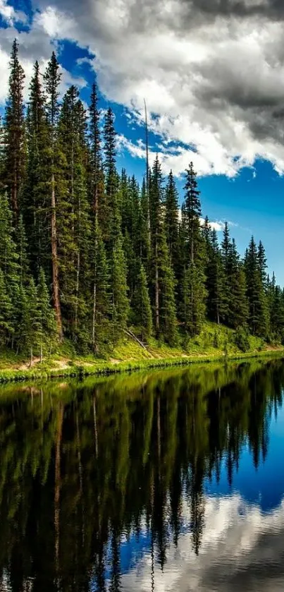 Forest lake with green trees reflected in calm water under cloudy sky.