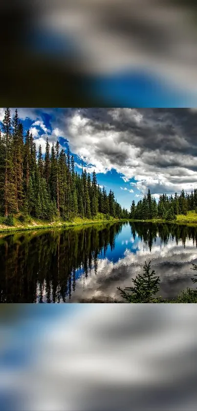 Forest lake reflecting trees and clouds.