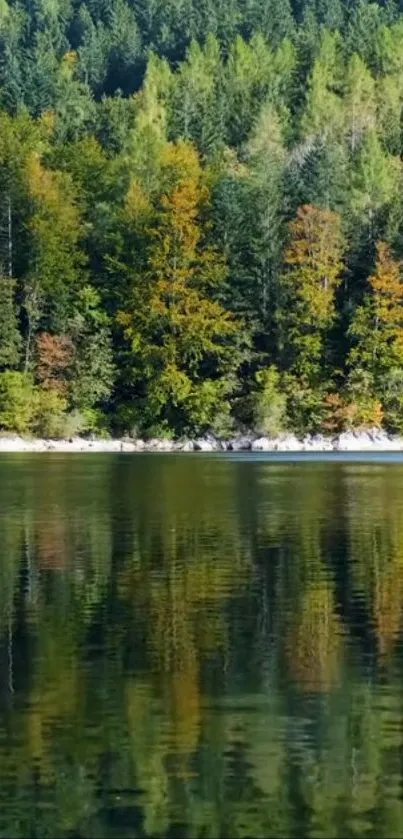 Tranquil forest with lake reflection in autumn colors.