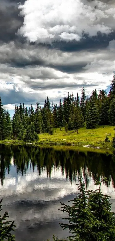 Serene forest lake reflecting pine trees and cloudy sky.