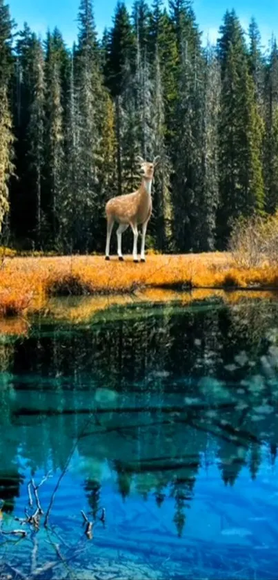 Serene forest and lake wallpaper with a deer.