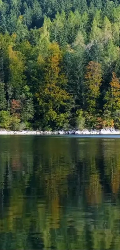 Tranquil forest lake with autumn trees reflecting on the water.