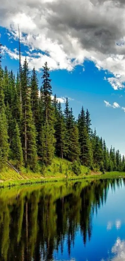 Serene forest lake with trees reflected in calm water and a vibrant blue sky.