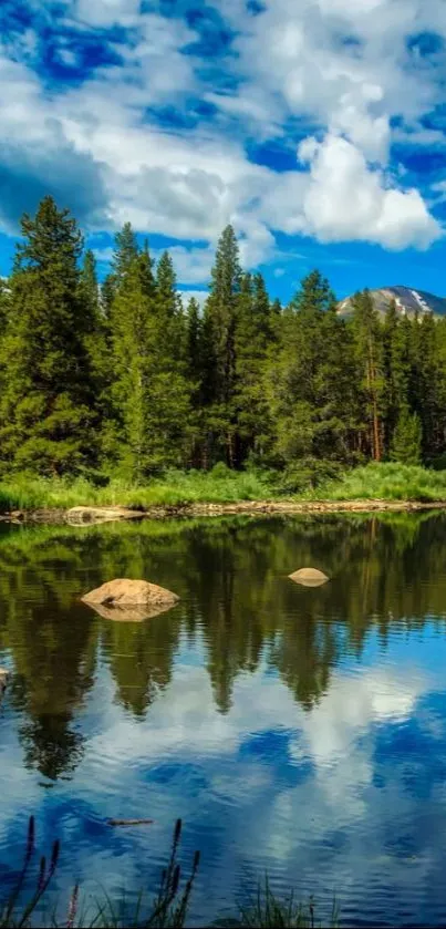 Serene forest lake with reflecting sky and lush greenery.