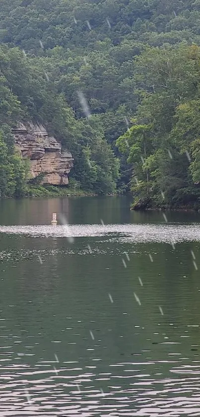 A serene lake surrounded by lush green forest.