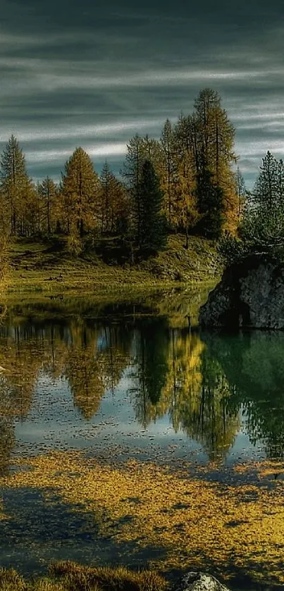 Serene forest lake with golden trees and reflections under a moody sky.