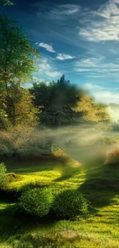 Serene forest landscape with green trees and bright blue sky.