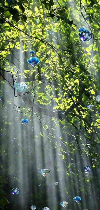 Sunlight filtering through green forest leaves, creating serene light rays.