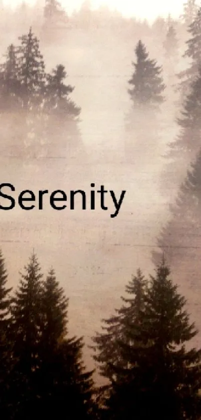 Serenity text over misty forest with dark evergreen trees.