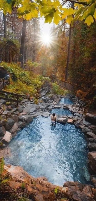 Serene forest hot spring with a tranquil pool.