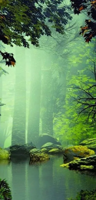 Tranquil forest with lush greenery and reflective water surface.