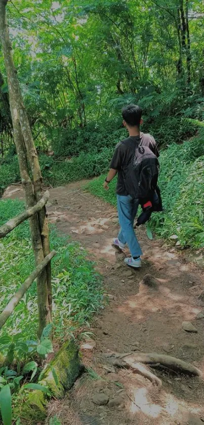 Person walking on a lush forest path in nature.