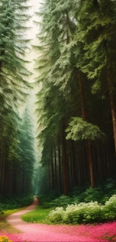 Serene forest path with tall trees and pink wildflowers lining the trail.