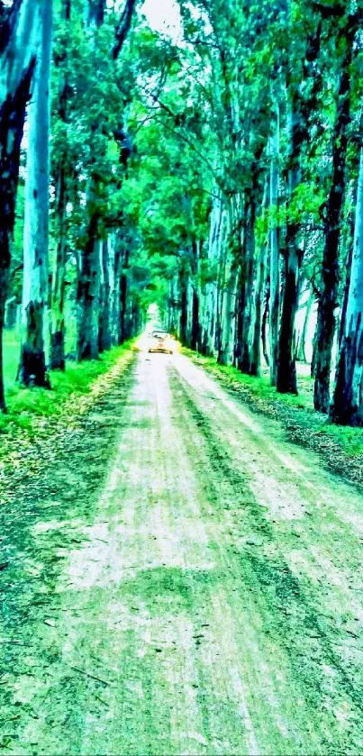 A serene forest path with a natural, tree-lined road under a green canopy.