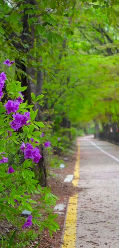 Serene forest path with purple flowers and lush green trees wallpaper.