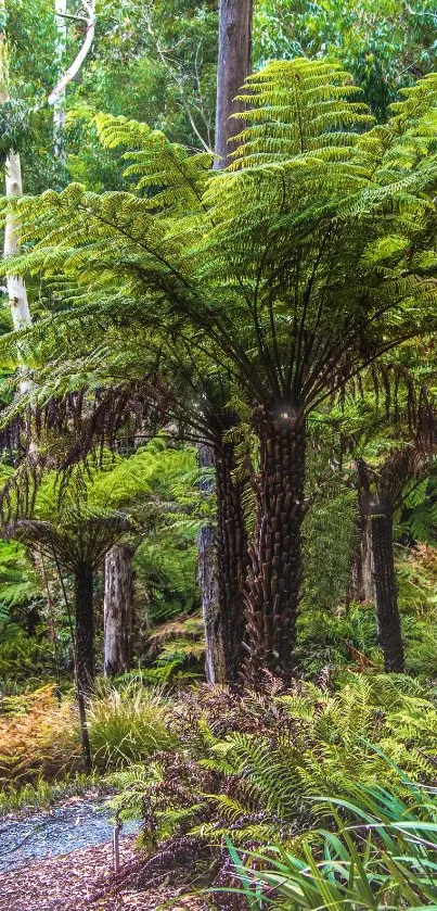 Mobile wallpaper featuring a scenic forest path with lush greenery.