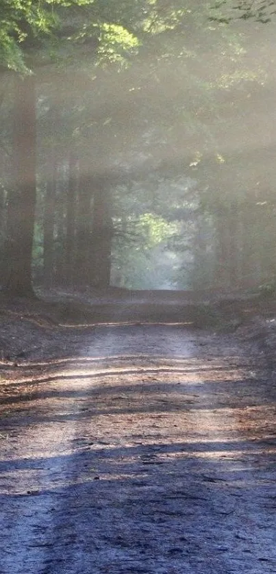 Serene forest path with sunlight and mist creating a peaceful ambiance.