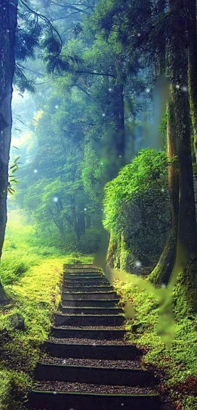 Serene forest path with green trees and sunlight.