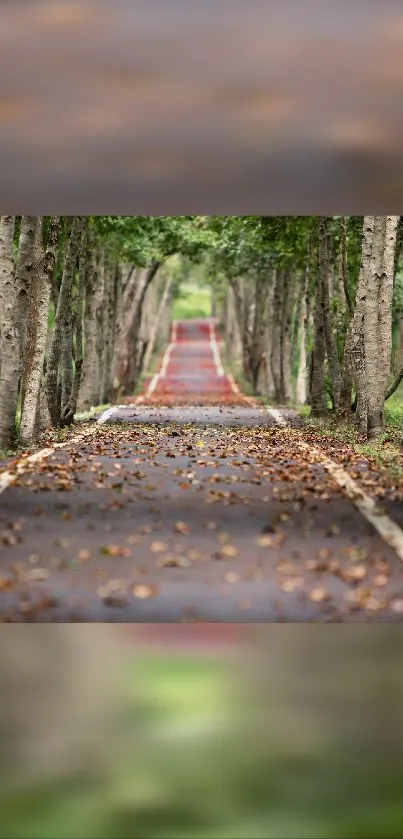 Scenic path through lush green forest with fallen leaves on the road.