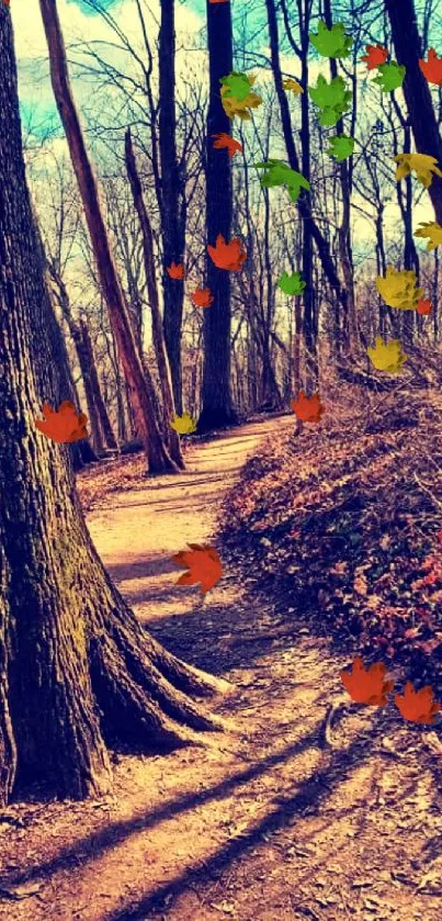 Serene forest path with trees and sunlight, ideal for nature wallpaper.