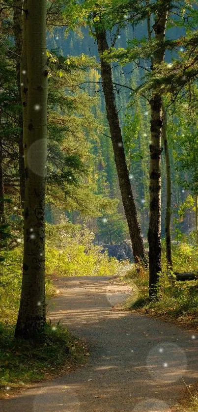 Serene forest path with lush greenery, ideal for a calming mobile wallpaper.