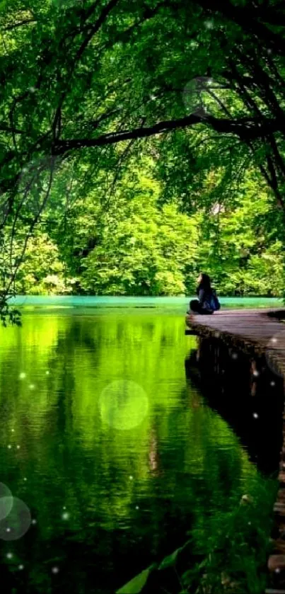 Serene path through lush forest reflecting on tranquil water.