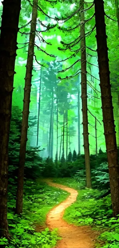 Mobile wallpaper of a tranquil forest path surrounded by vivid green trees.