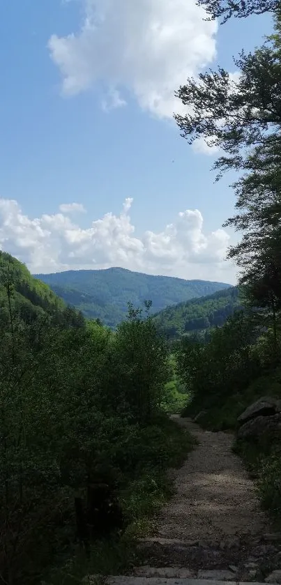 Serene pathway through a lush forest with mountains in the distance.