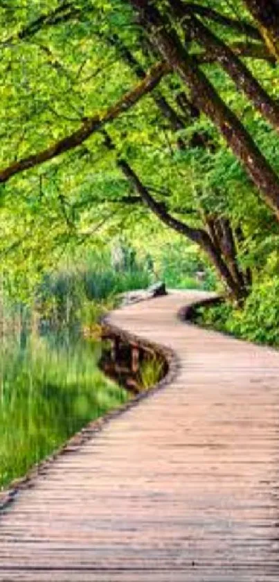 Serene pathway through lush green forest with wooden path alongside water.