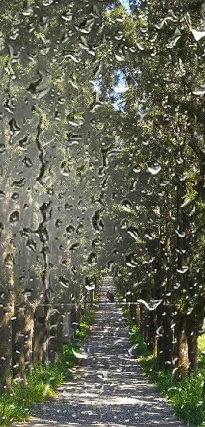 A serene forest pathway under a lush tree canopy, leading into the distance.