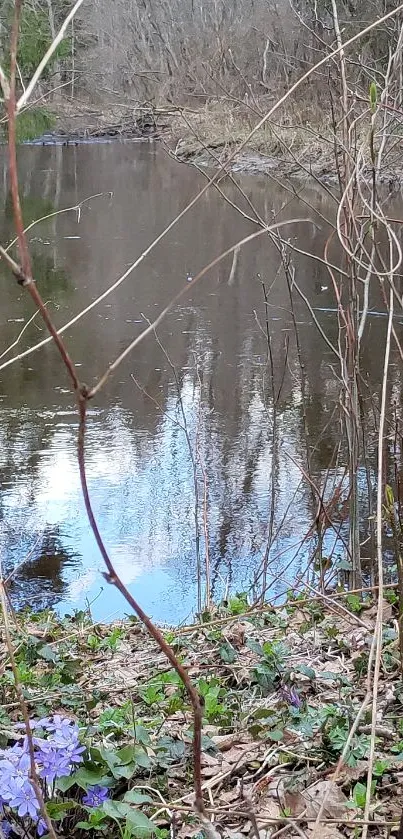 Serene pond with forest reflection and greenery.