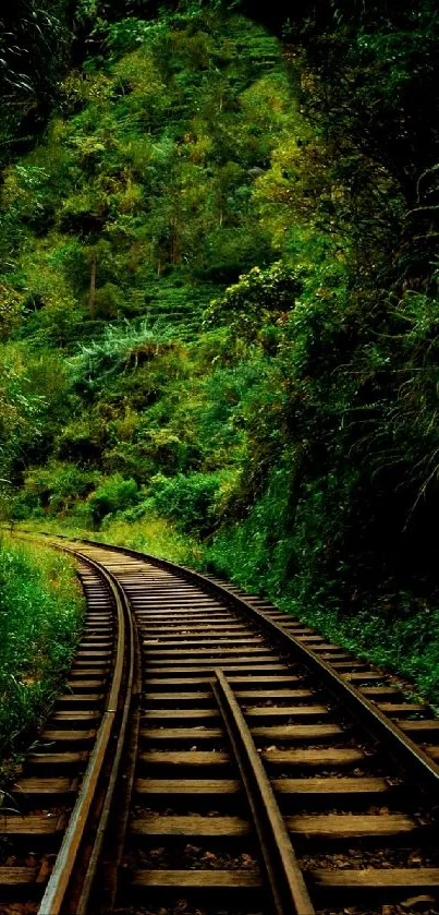 Serene forest railway with lush greenery and winding tracks.