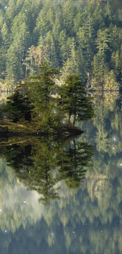 Serene reflection of a forested island on a calm lake.