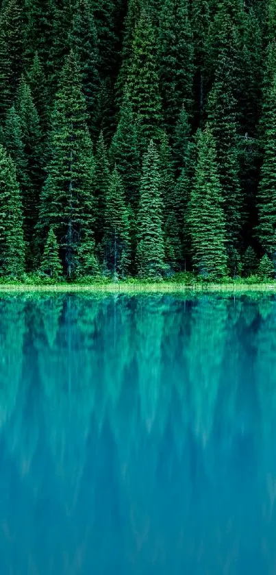 Serene forest reflected above a tranquil blue lake.