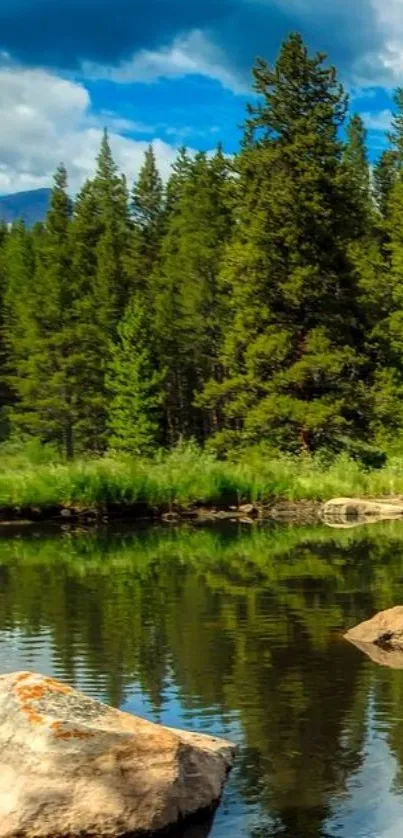 Serene forest reflection on a tranquil lake with lush green trees.