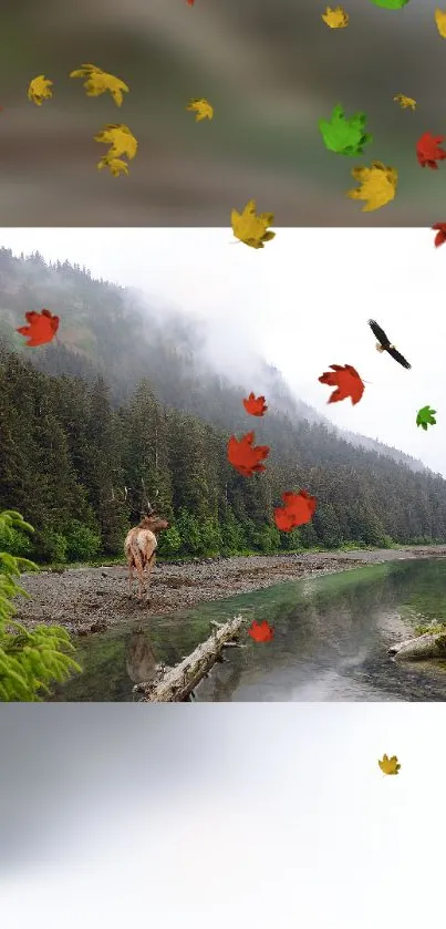 Tranquil forest river with autumn leaves and a misty mountain backdrop.